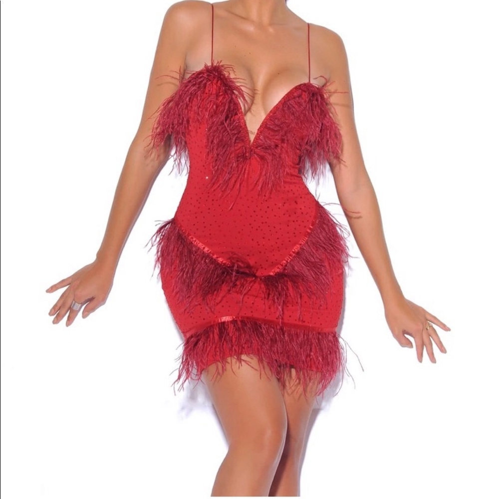 Brand new Red Miss Circle dress  ❣️❤️